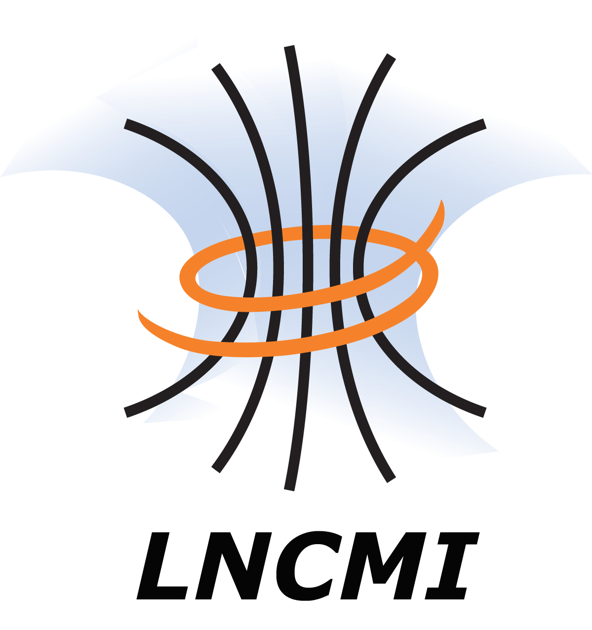 logo du Laboratoire National des Champs Magnétiques Intenses